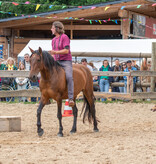 2.-4.  Juli 2027: Pferdefestival in Neu Drefahl
