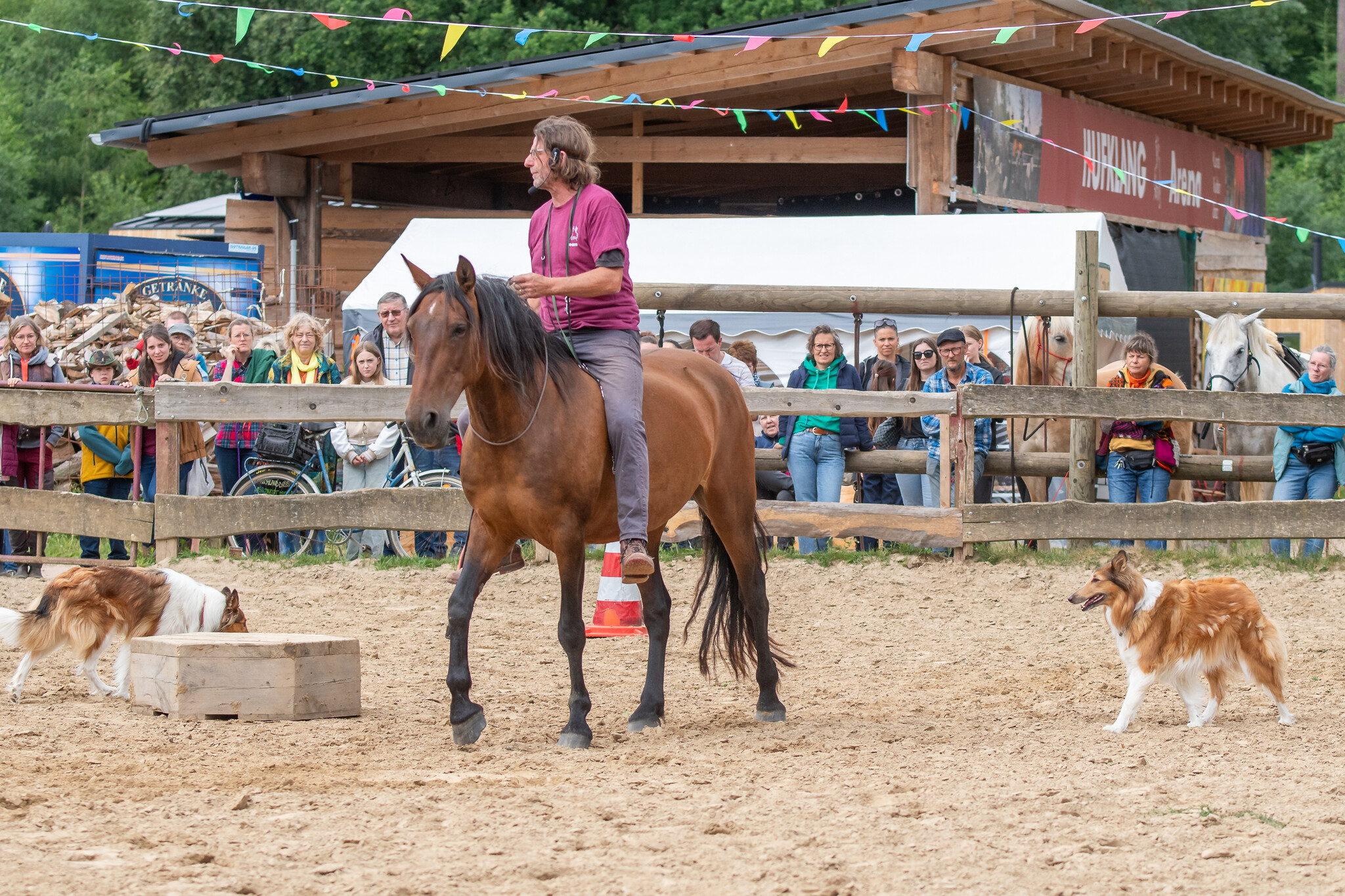 2.-4.  Juli 2027: Pferdefestival in Neu Drefahl
