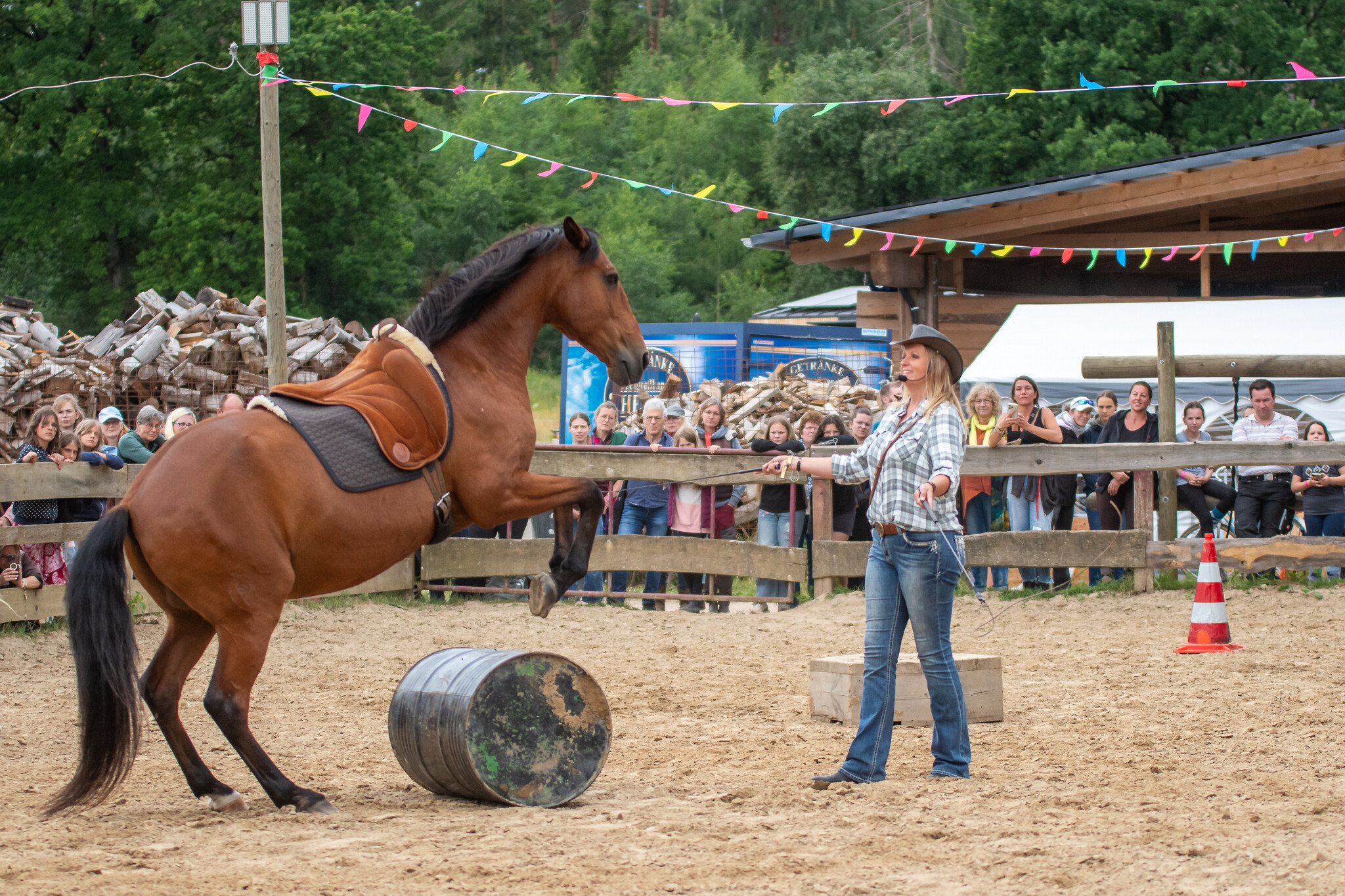 2.-4.  Juli 2027: Pferdefestival in Neu Drefahl