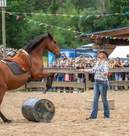 2.-4.  Juli 2027: Festival in Neu Drefahl