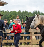 2.-4.  Juli 2027: Pferdefestival in Neu Drefahl
