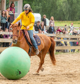2.-4.  Juli 2027: Pferdefestival in Neu Drefahl