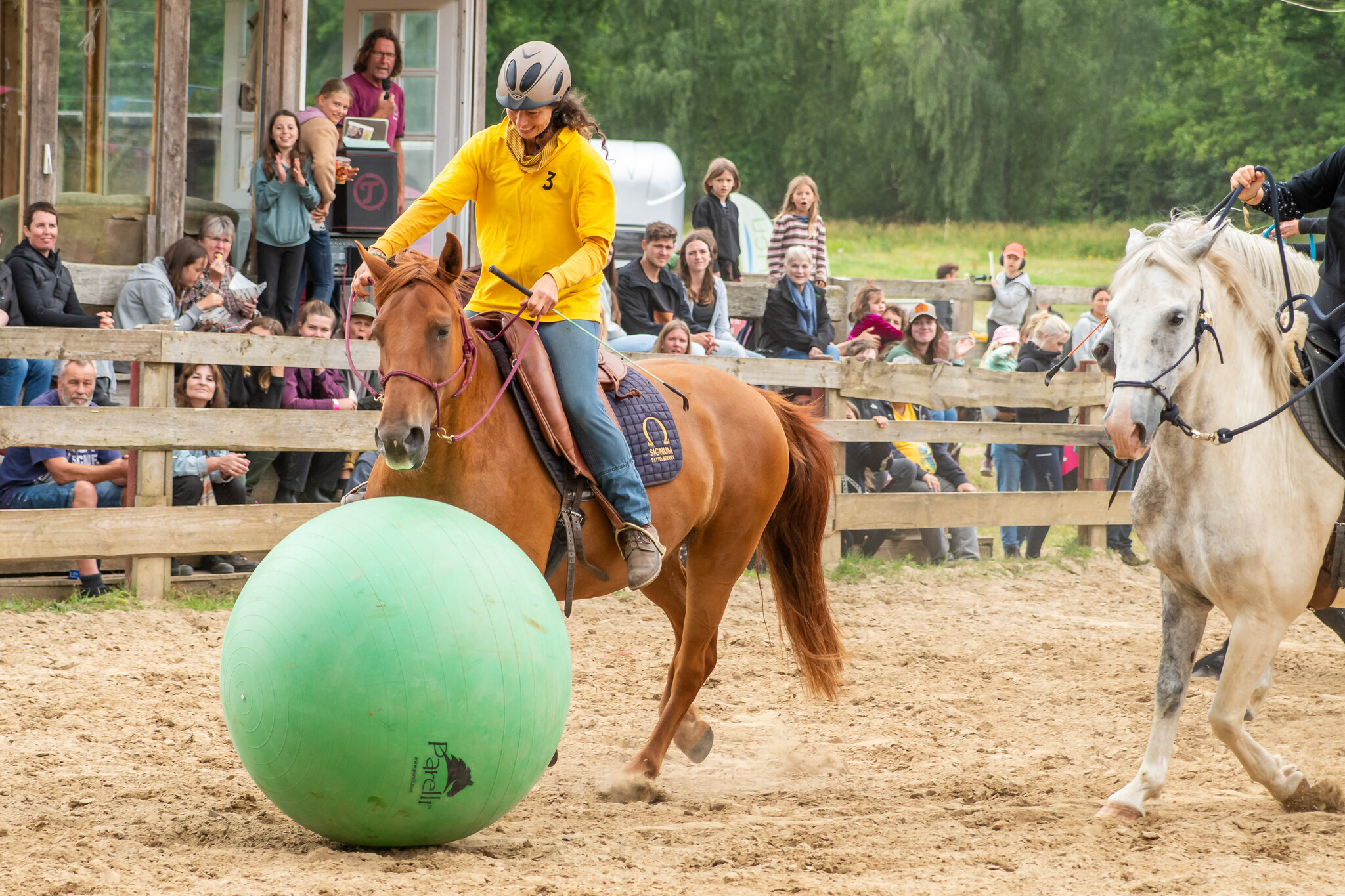 2.-4.  Juli 2027: Pferdefestival in Neu Drefahl