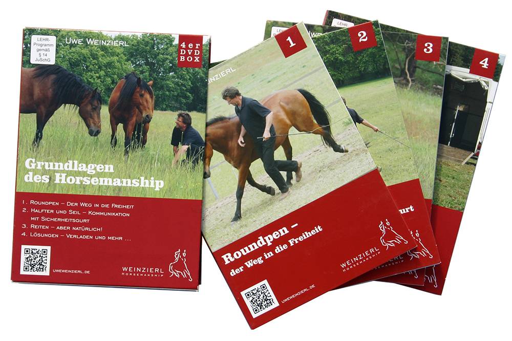 4erDVD Grundlagen des Horsemanship