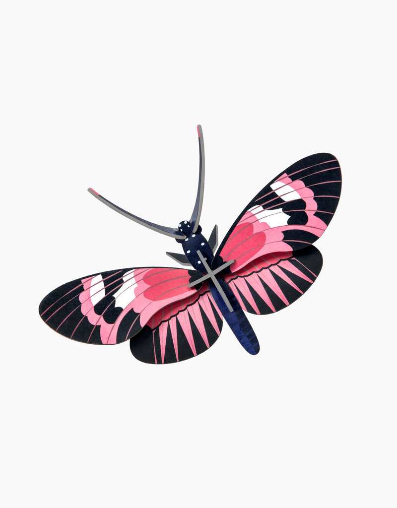 Wall Decor Longwing Butterfly The Glucksman
