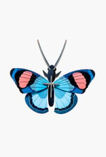 Studioroof Wall Decor Peacock Butterfly (small)