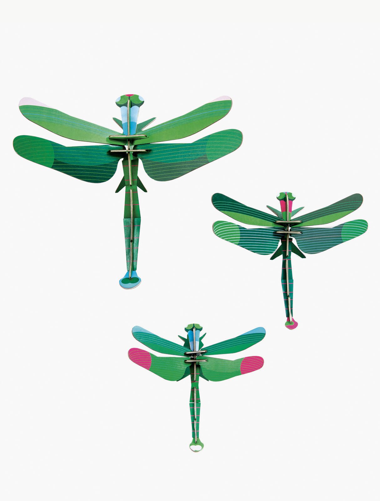 Dragonfly Gift Box - 3-Pack – Twisted Chile