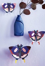 Studioroof Set of 3 - Swallowtail butterflies