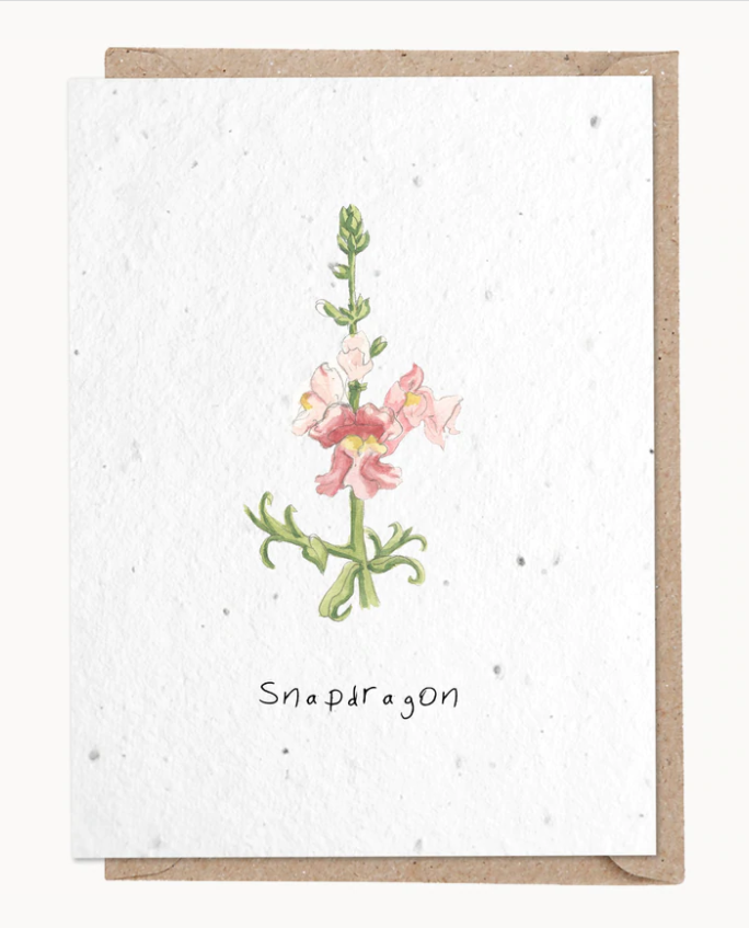 Snap Dragon The Glucksman