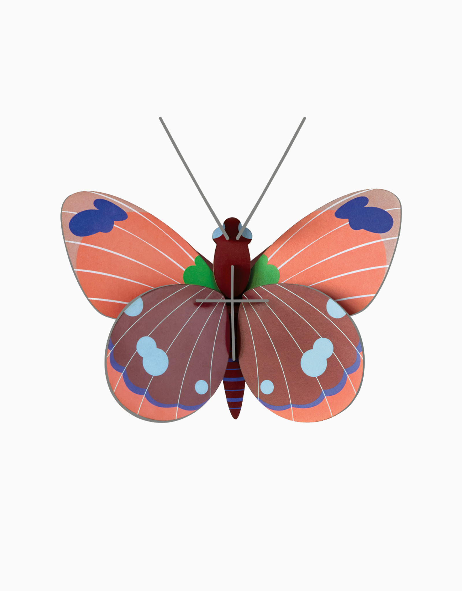 Studioroof Delias Butterfly - Wall Art