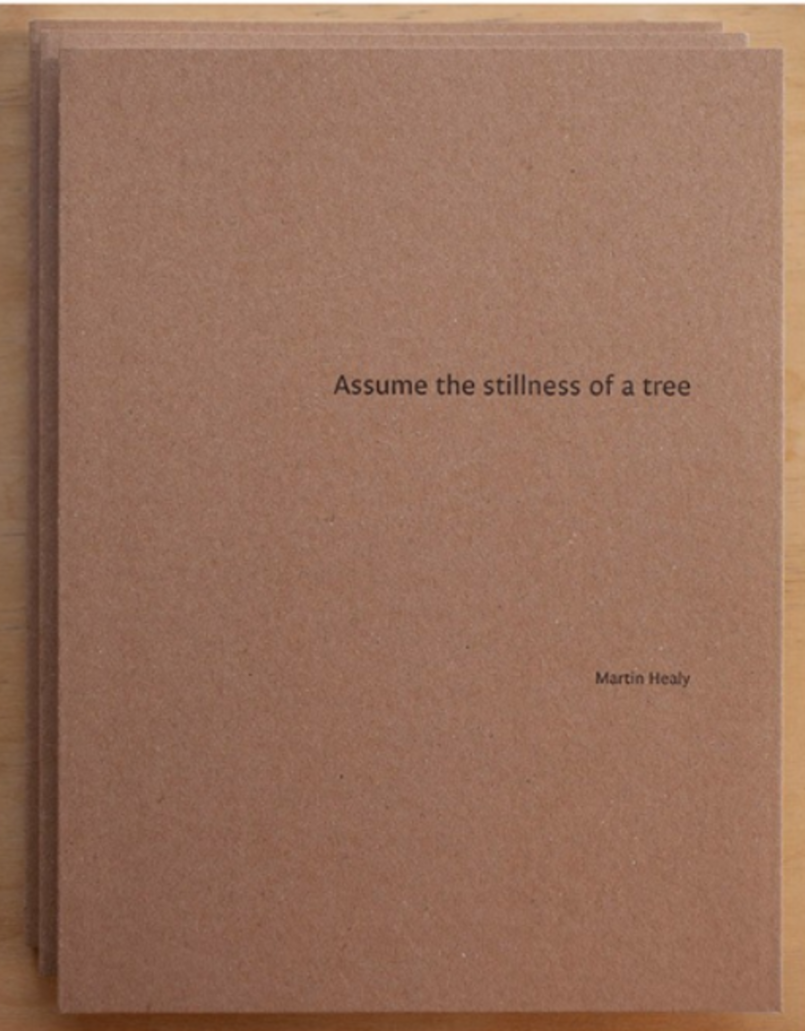 Martin Healy Assume the stillness of a tree