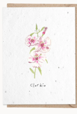 Weird Watercolours Clarkia