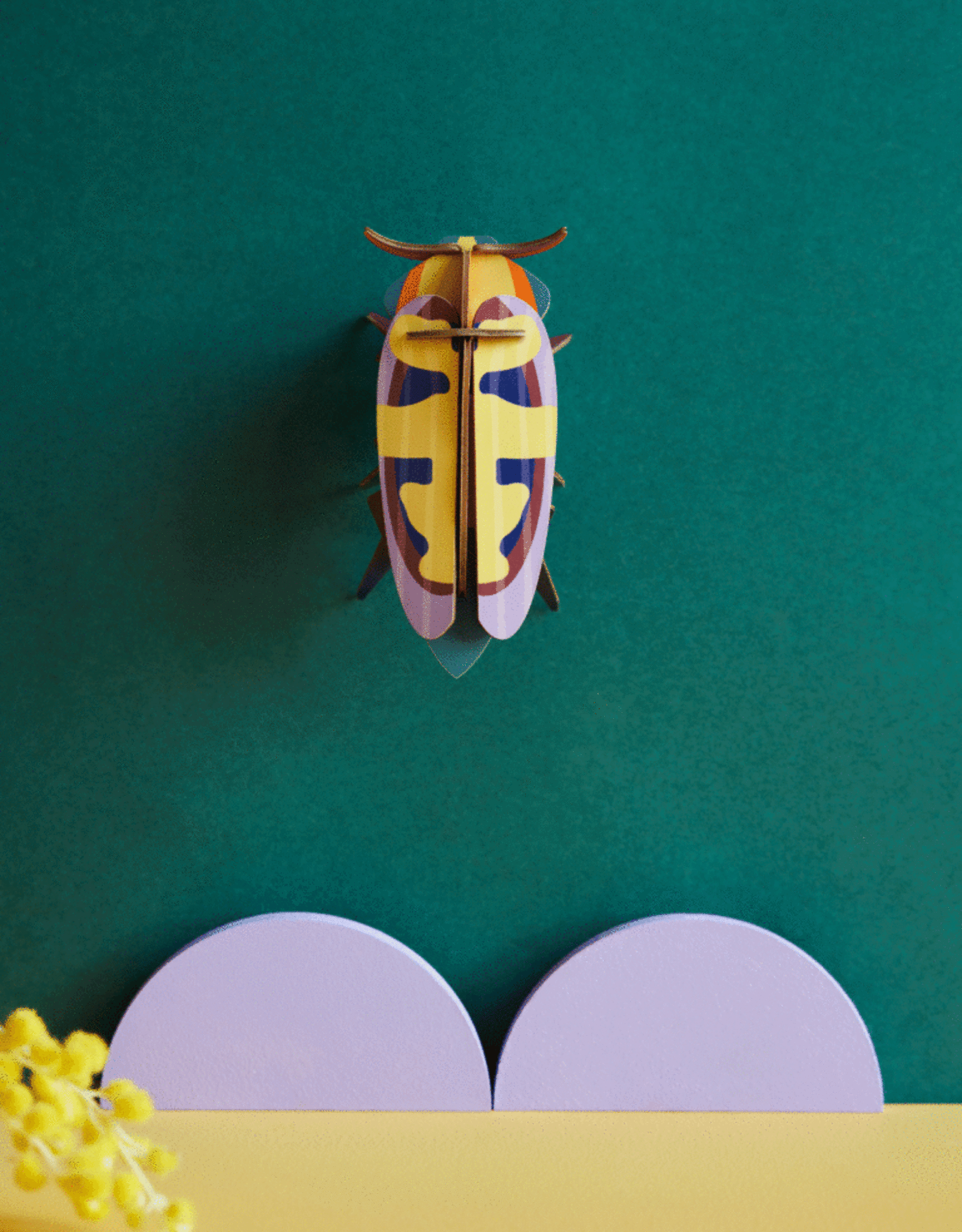 Studioroof Lemon fruit Beetle