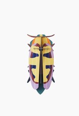 Studioroof Mango Flower Beetle