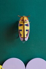 Studioroof Mango Flower Beetle