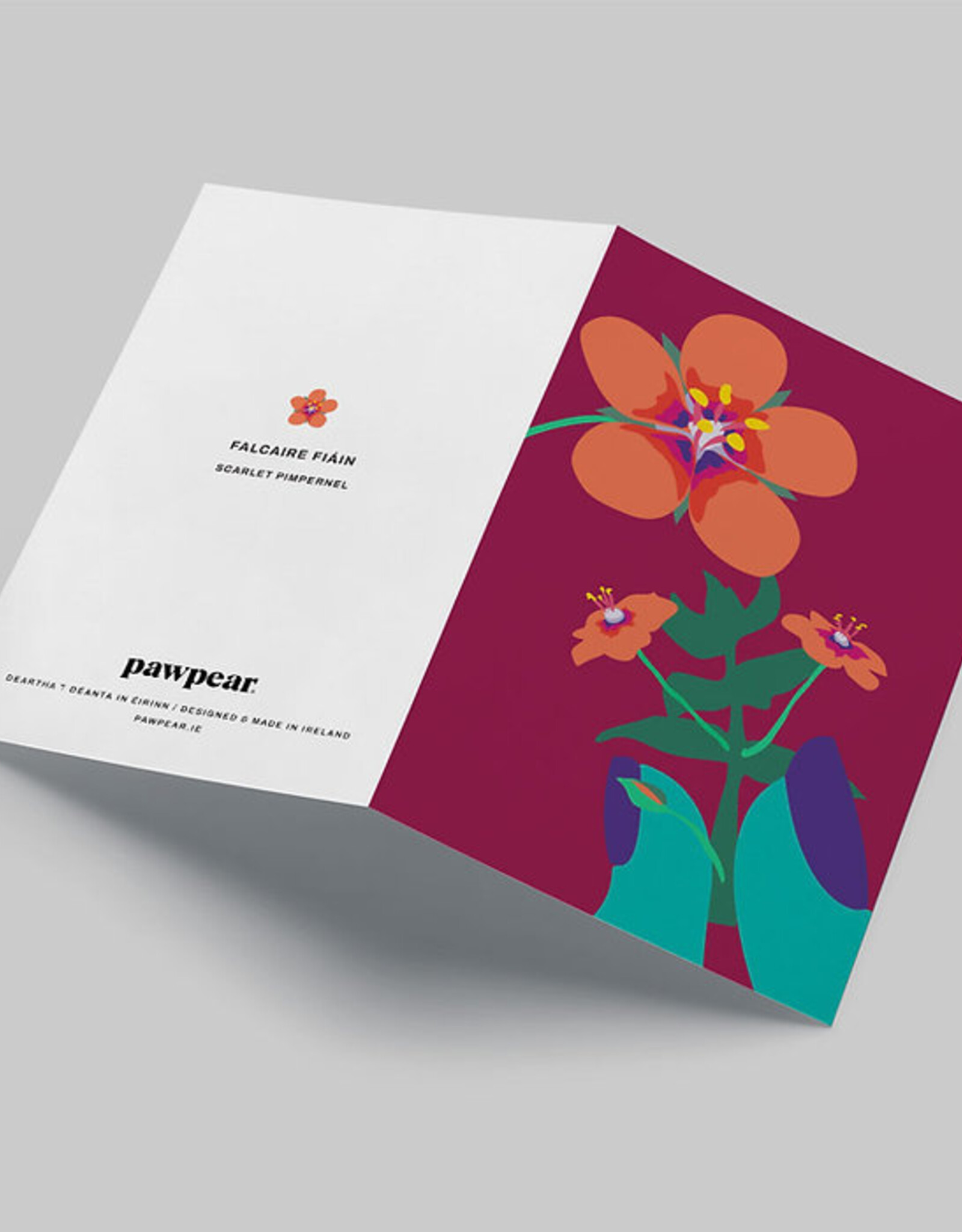 Pawpear Falcaire Fiáin / Scarlet Pimpernel  Greeting Card