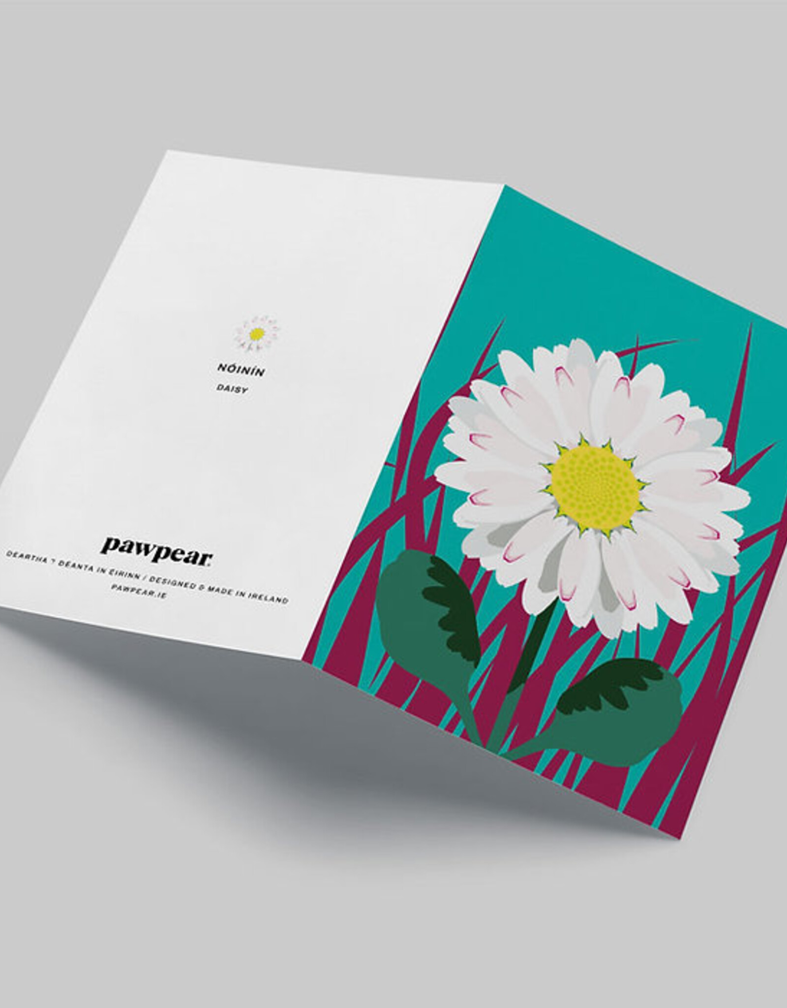 Pawpear Nóinín / Daisy Greeting Card