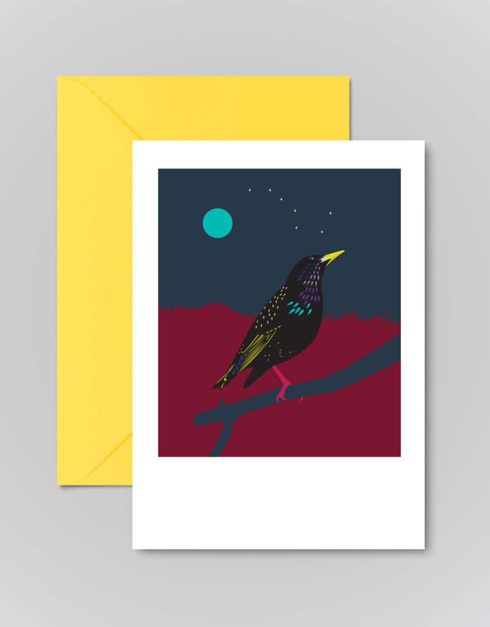 Pawpear Druid / Starling Greeting Card