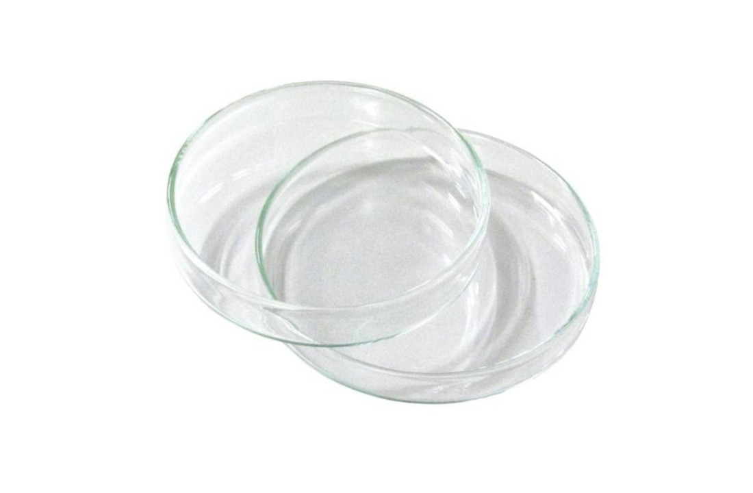 Petrischaal met deksel glas 20 x 100 mm