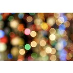 Premium Sports Gifts for Christmas | Gannon Sports