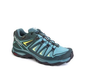 salomon 2020