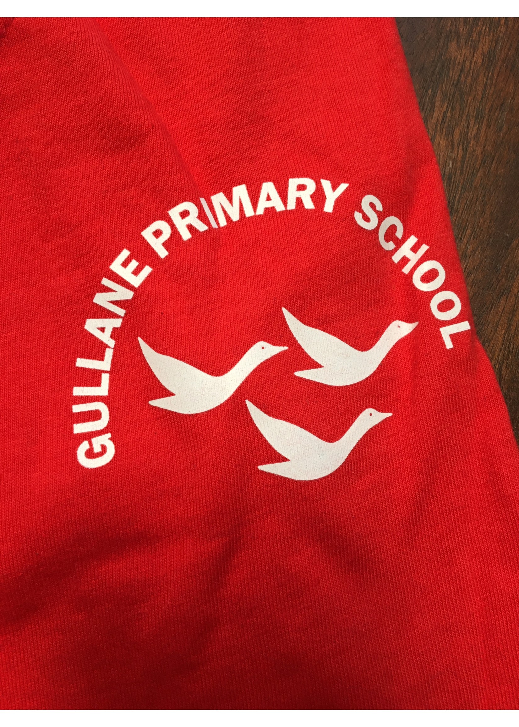 School Uniform - T SHIRT - GULLANE