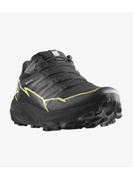 Salomon Salomon Thundercross GTX Ladies Trail Shoe (2023)