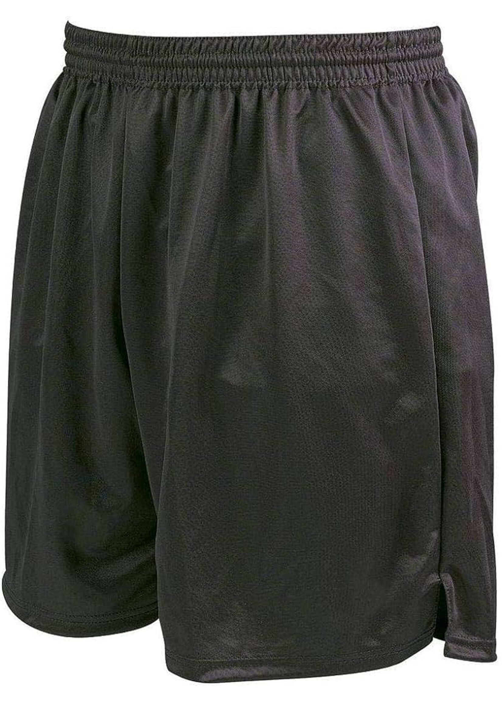 Precision Training Precision Attack Adult Shorts (2023)