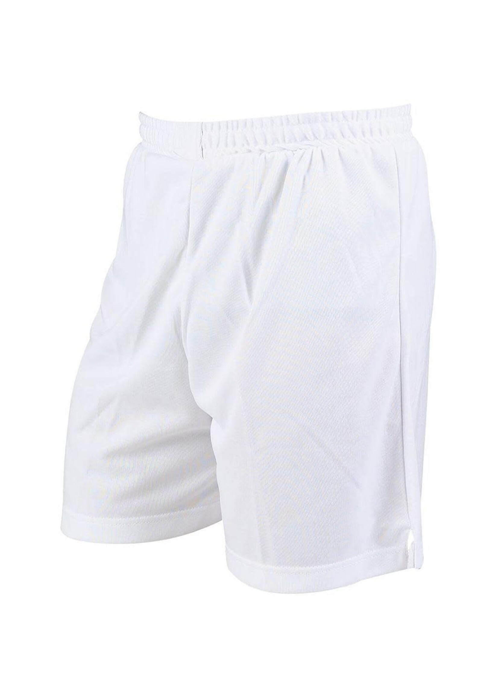 Precision Training Precision Attack Adult Shorts (2023)