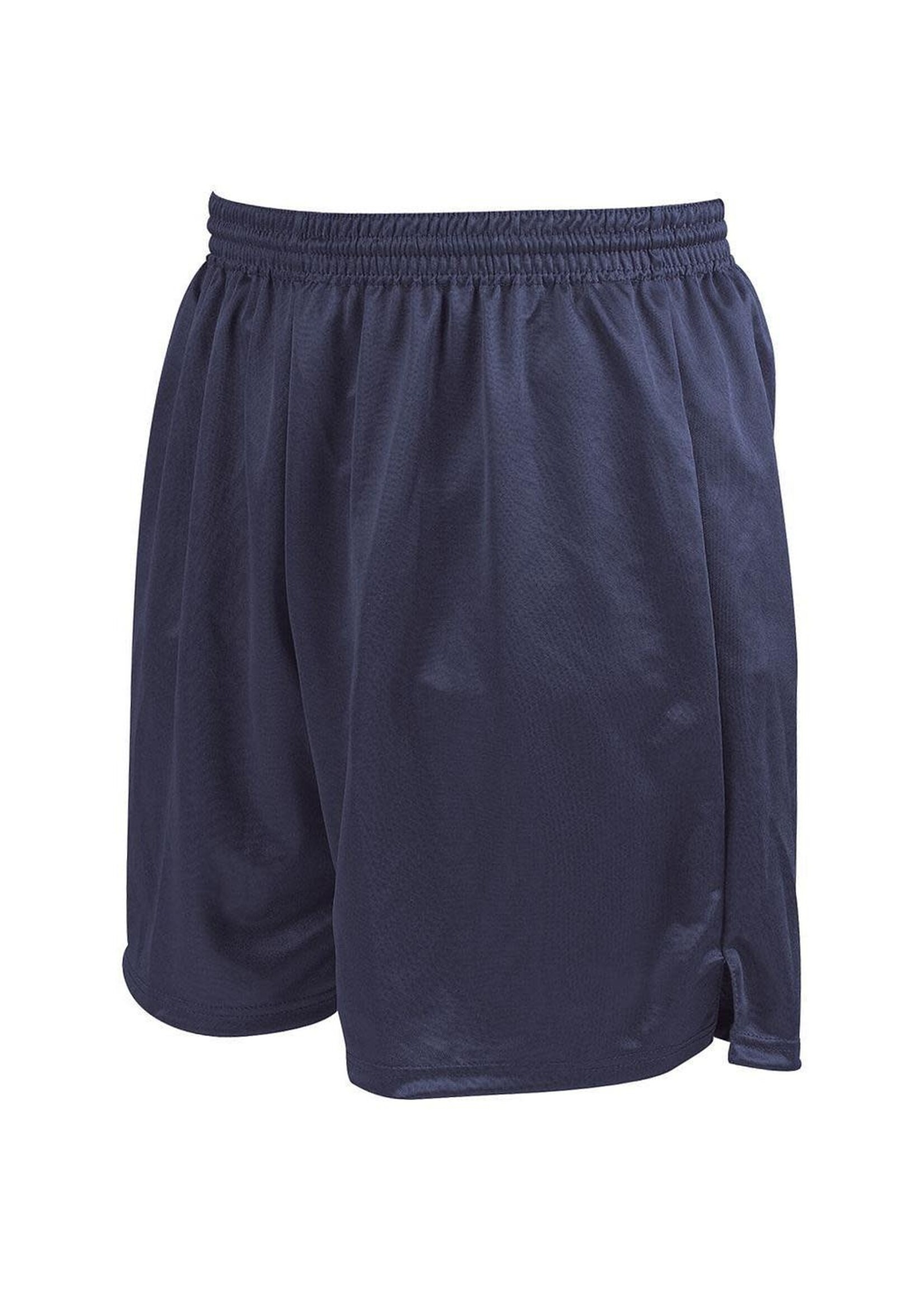 Precision Training Precision Attack Adult Shorts (2023)