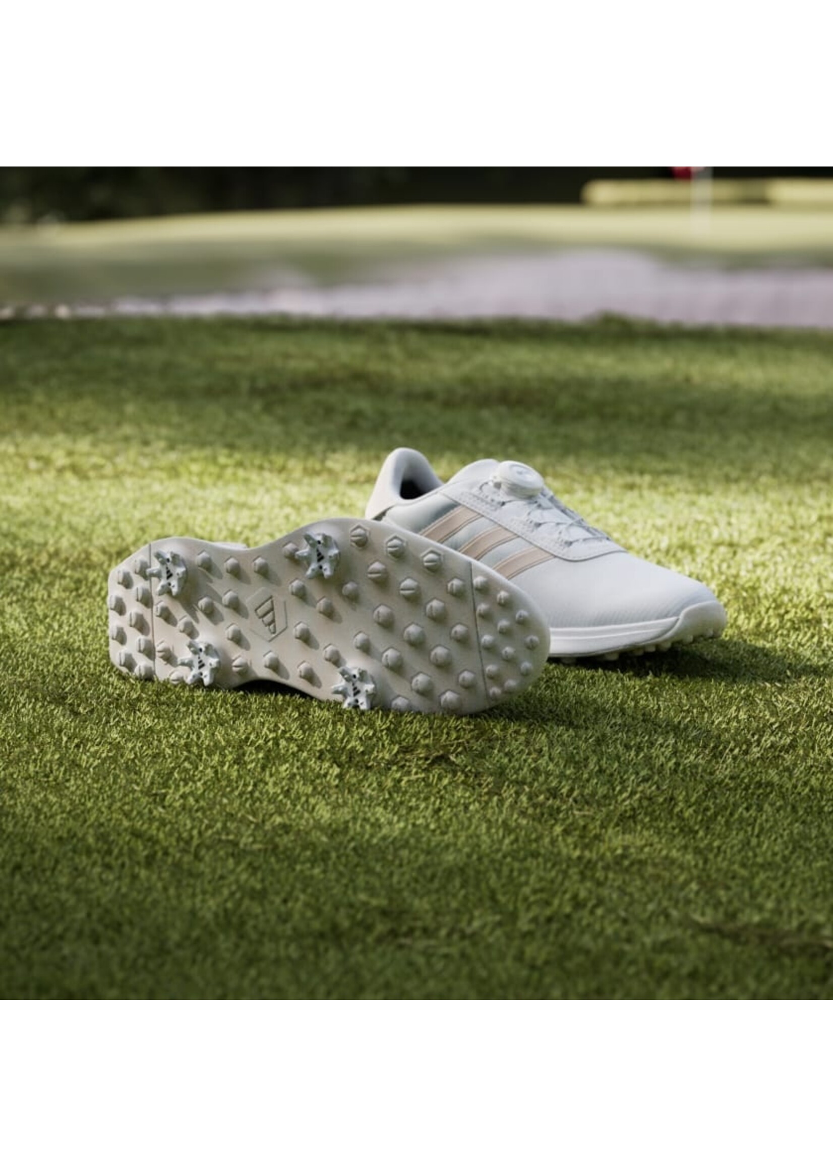 Adidas Adidas S2G BOA 24 Ladies Golf Shoe (2024)