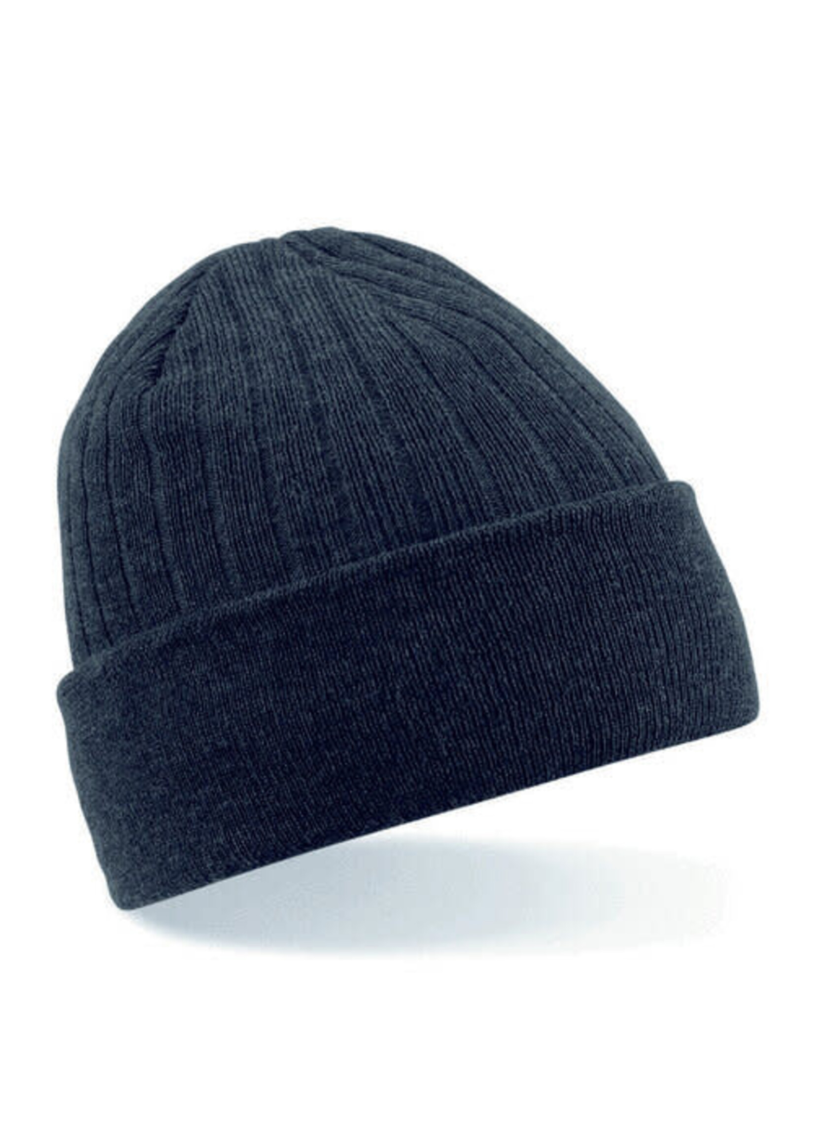 Beechfield Beechfield Thinsulate Beanie (2024)