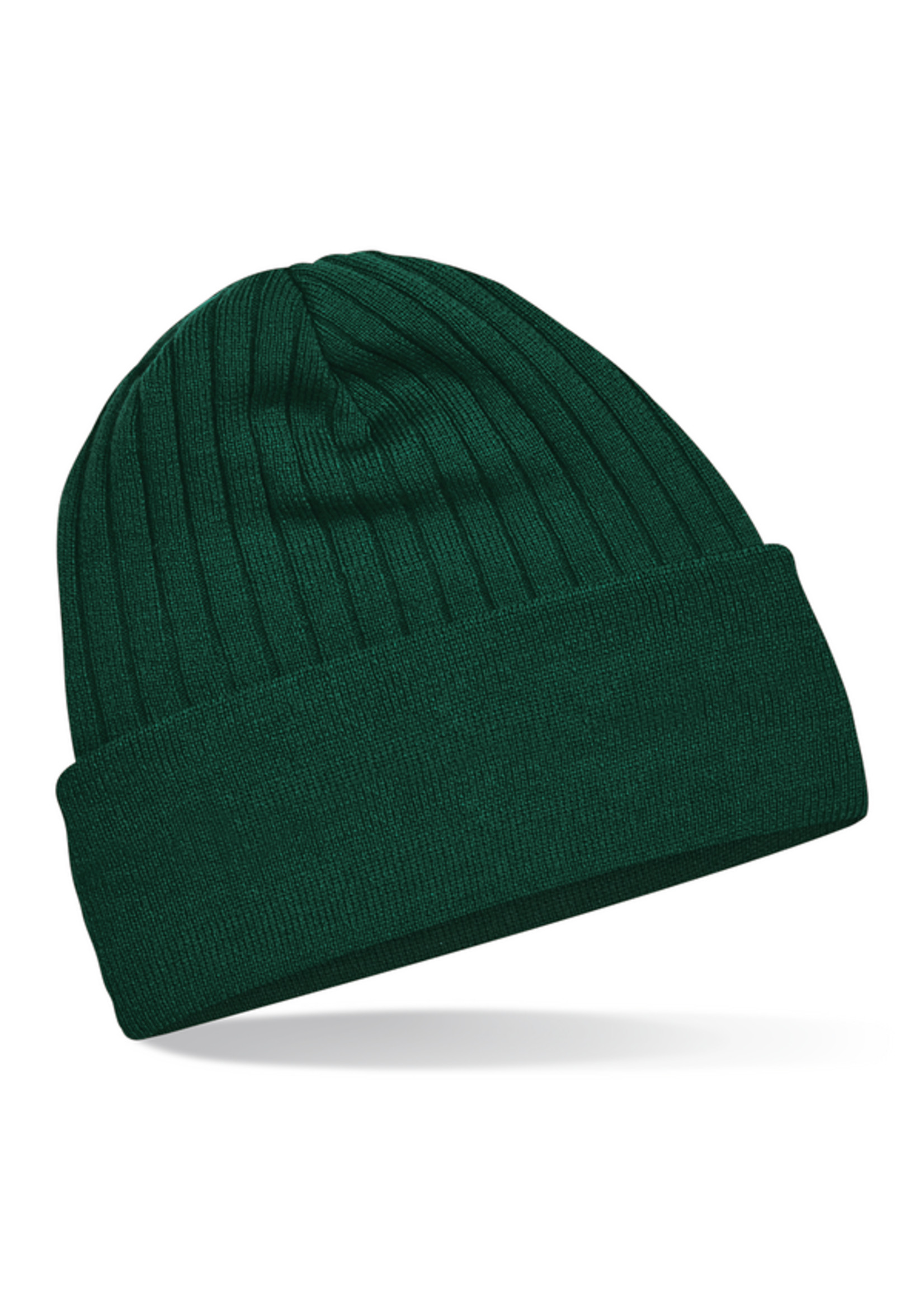 Beechfield Beechfield Thinsulate Beanie (2024)