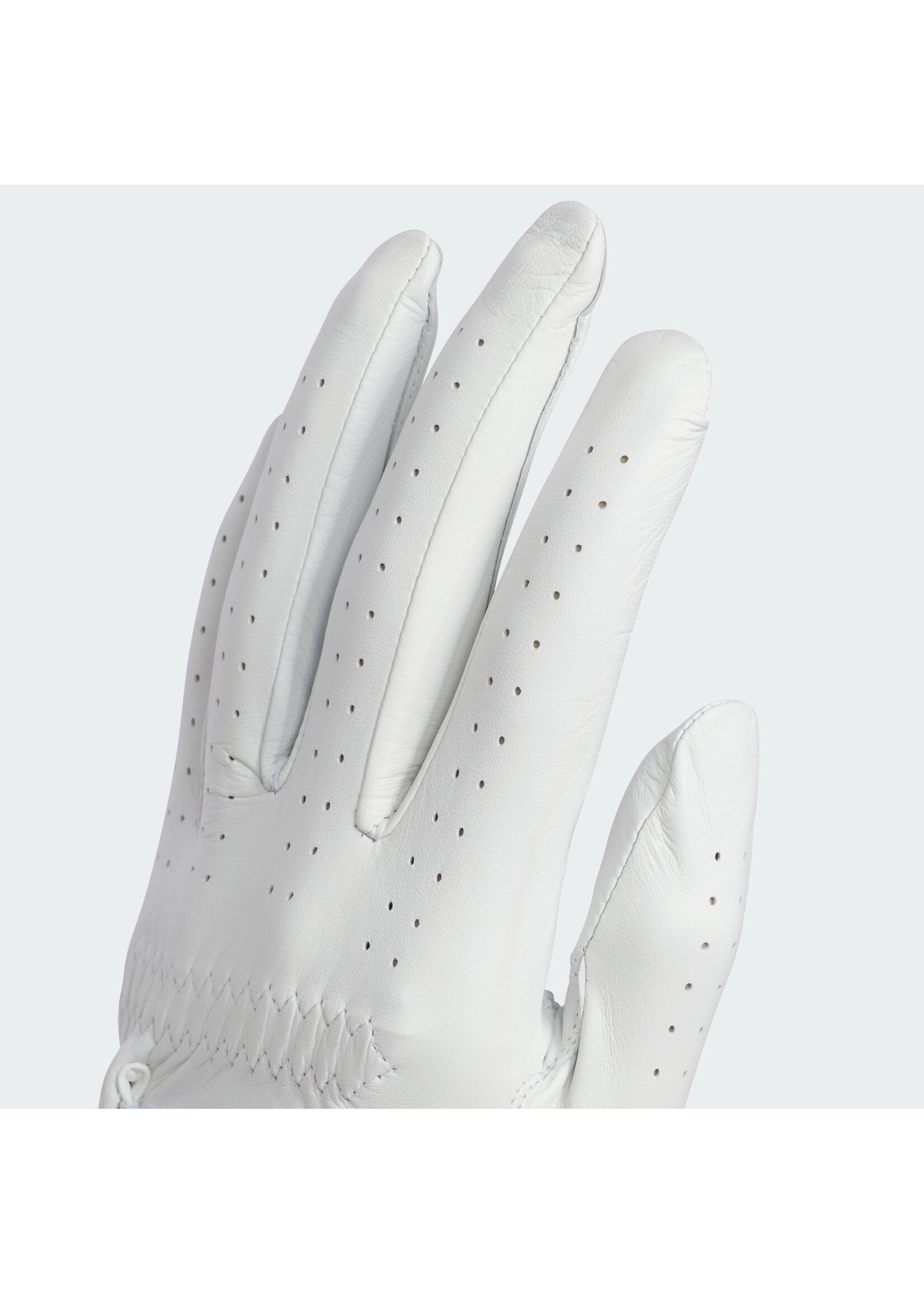 Adidas Adidas Pro Leather LH Mens Golf Glove (2025) White