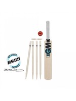 GM Diamond Cricket Set