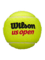 Wilson Wilson US Open All Court Tennis Balls (2025)