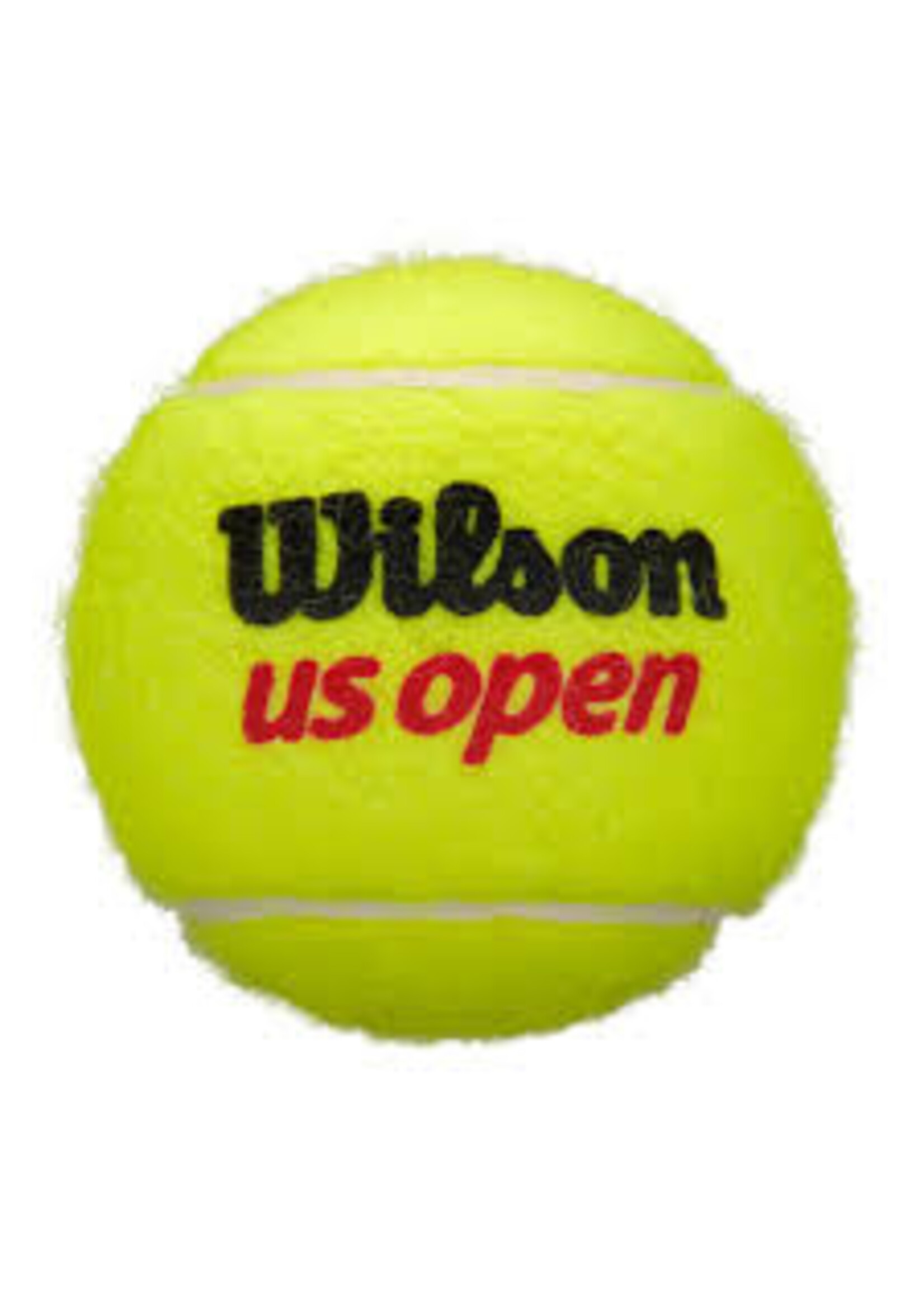 Wilson Wilson US Open All Court Tennis Balls (2025)