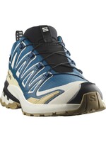 Salomon Salomon XA Pro 3D GTX v9 Mens Trail Shoe (2025)