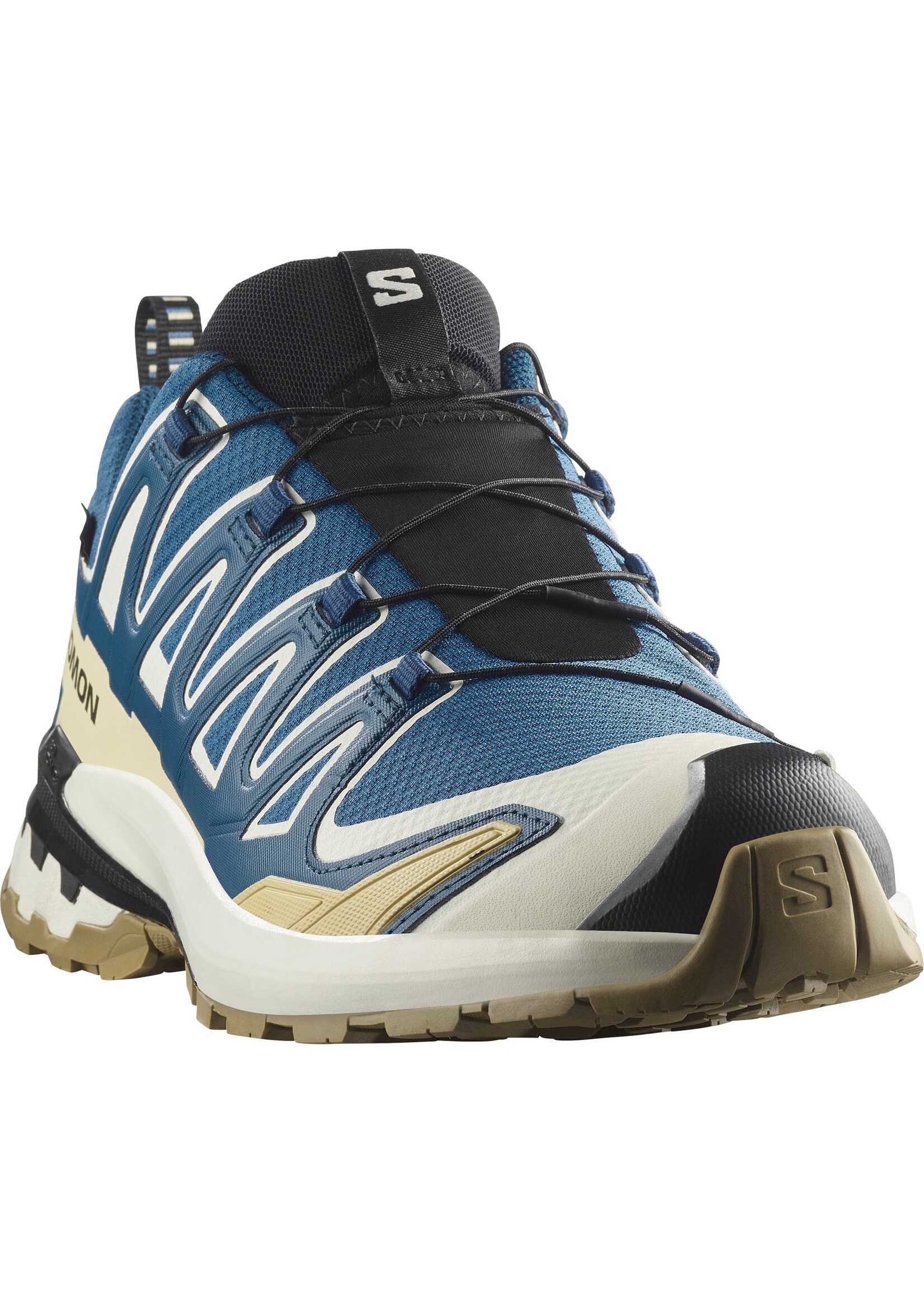 Salomon Salomon XA Pro 3D GTX v9 Mens Trail Shoe (2025)