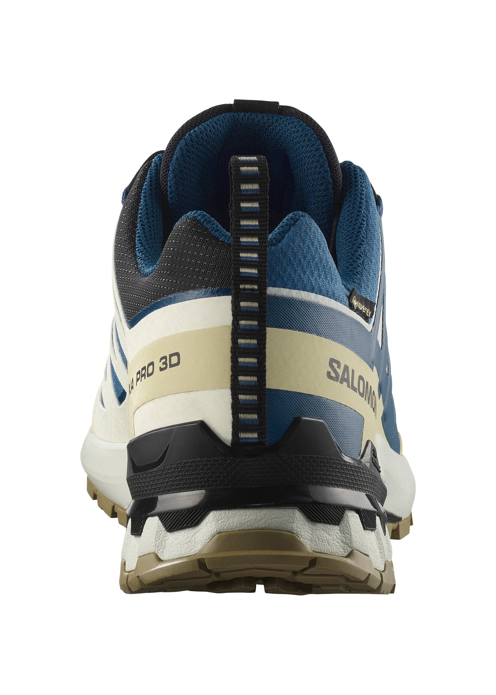 Salomon Salomon XA Pro 3D GTX v9 Mens Trail Shoe (2025)