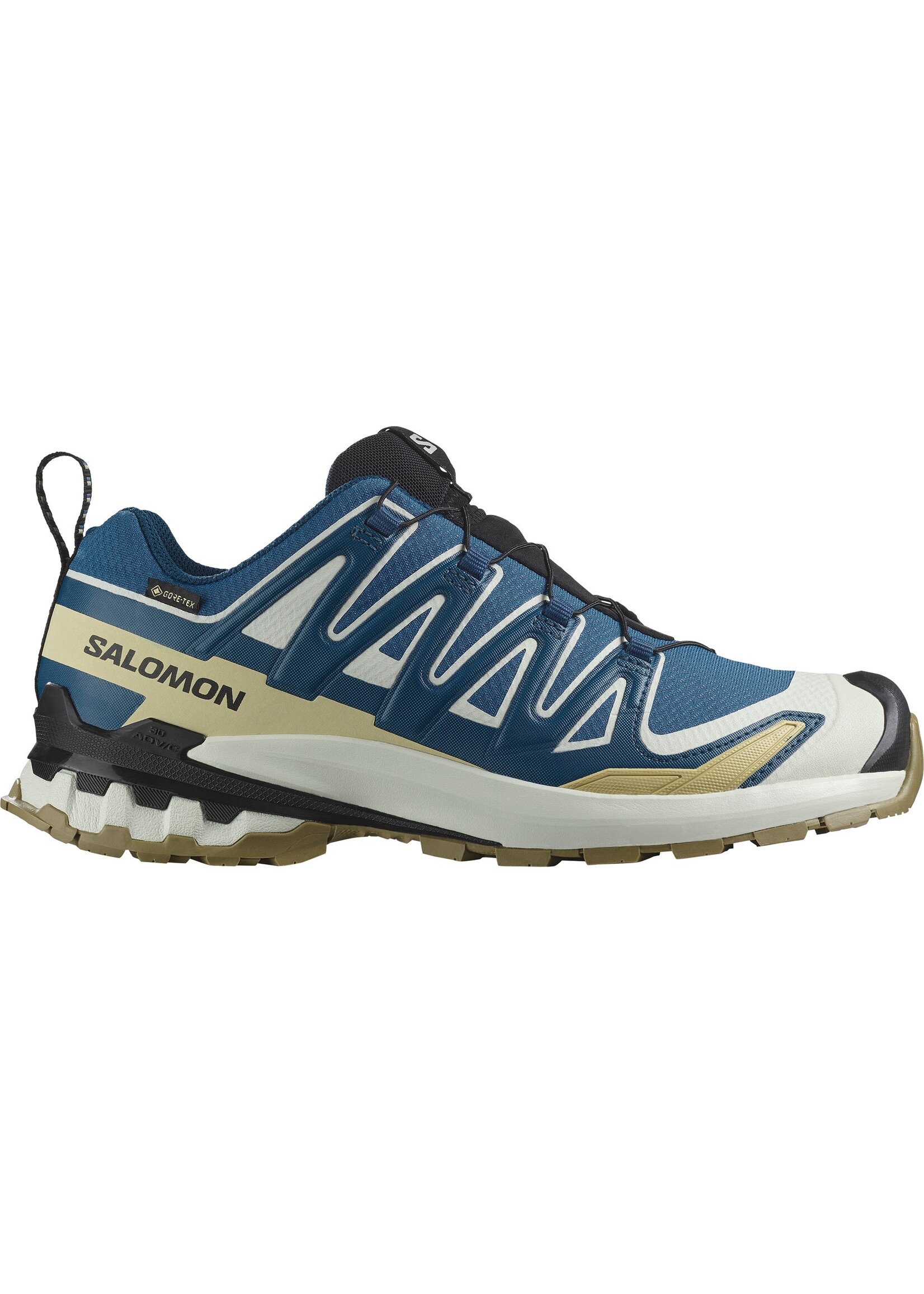Salomon Salomon XA Pro 3D GTX v9 Mens Trail Shoe (2025)