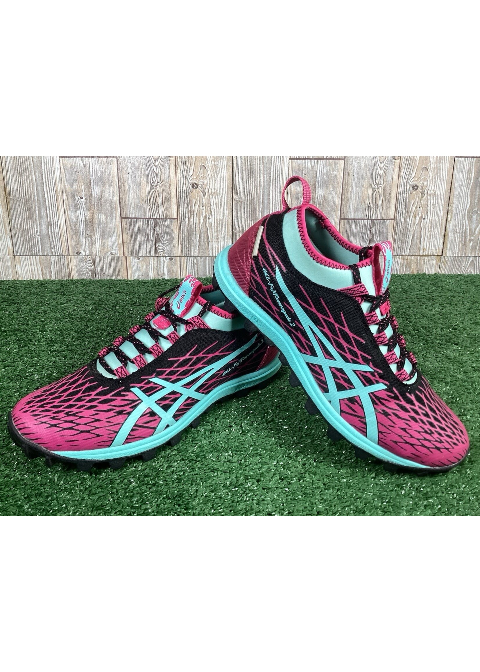 Asics Gel Fuji Renegade 2 Plasma Guard Trail Shoe - 5