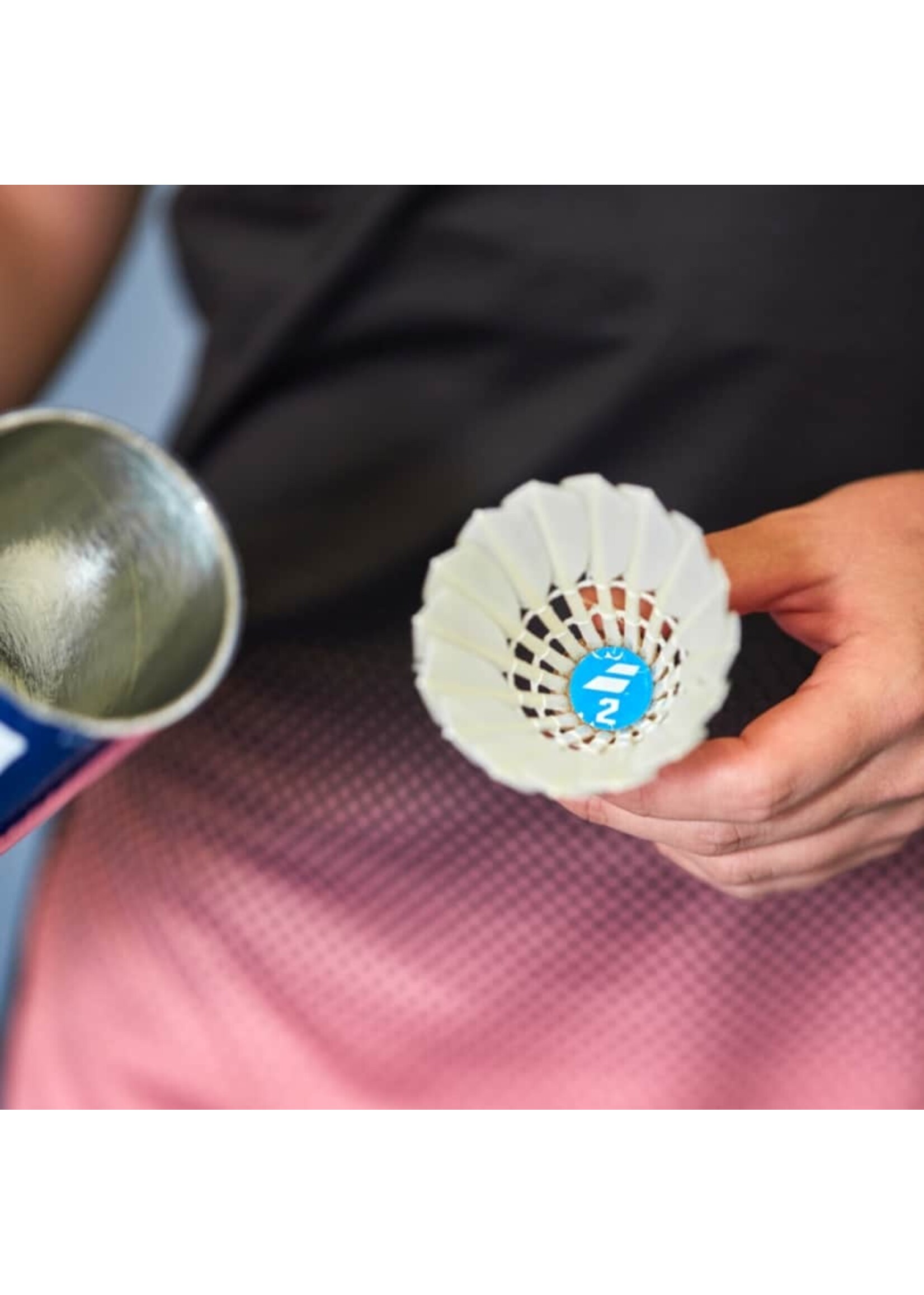 Babolat Babolat 2 Feather Shuttlecock