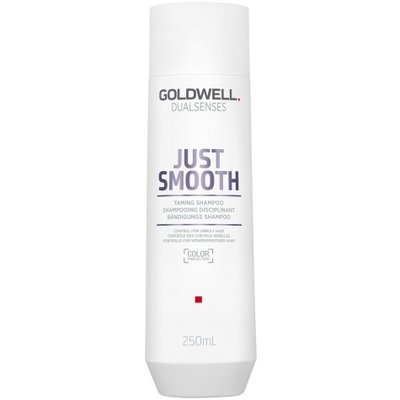 Goldwell Dualsenses Just Smooth Zähmendes Shampoo
