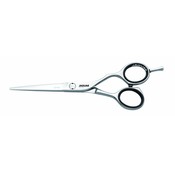 Jaguar LINEA SILVER, CJ 4 Plus,