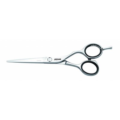 Jaguar LINEA SILVER, CJ 4 Plus,