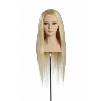 L'Image Luna training head
