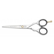 Jaguar Pre-Estilo ERGO P