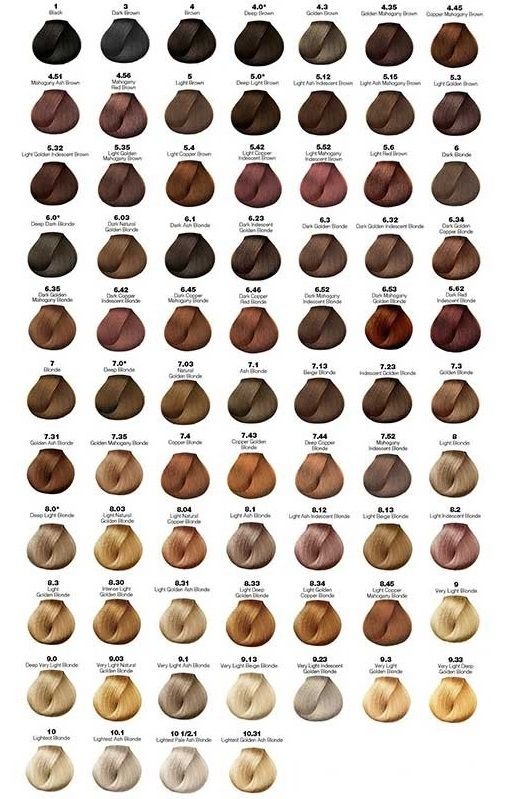 L'Oréal Professionnel Hi.Richesse Color Chart.  Hair color chart,  Professional hair color chart, Colored hair tips