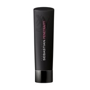 Sebastian Champú Penetraitt 250ml